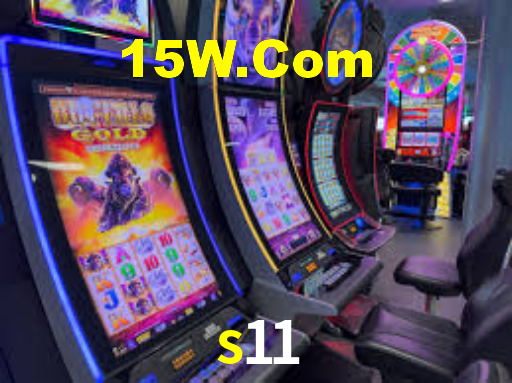 s11